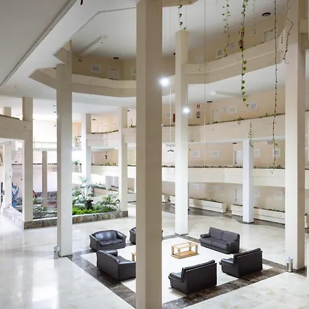 Con Vistas Al Océano *