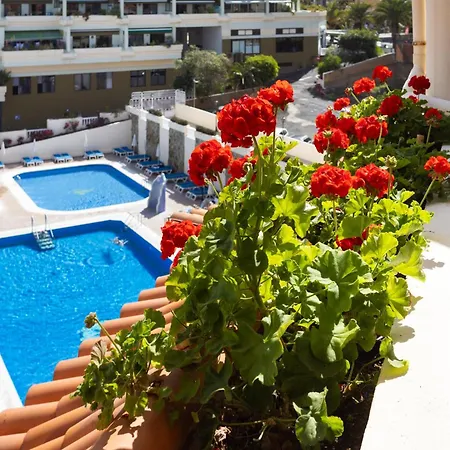 Con Vistas Al Oceano * Puerto de la Cruz (Tenerife)